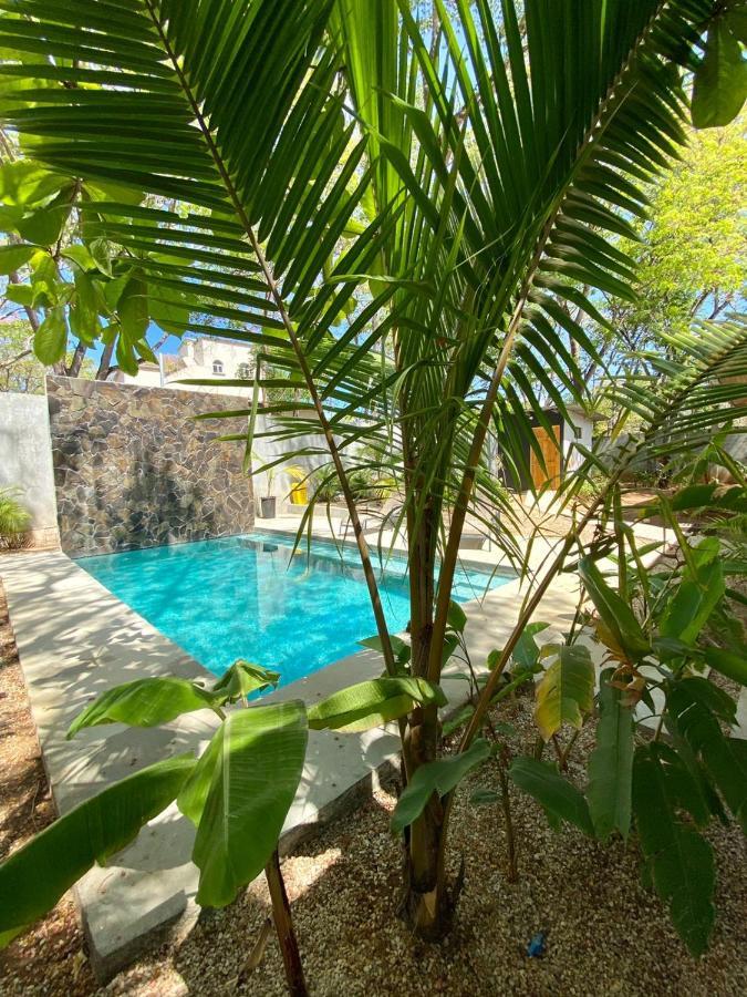 Casa Alice Marbella Lodge Luaran gambar